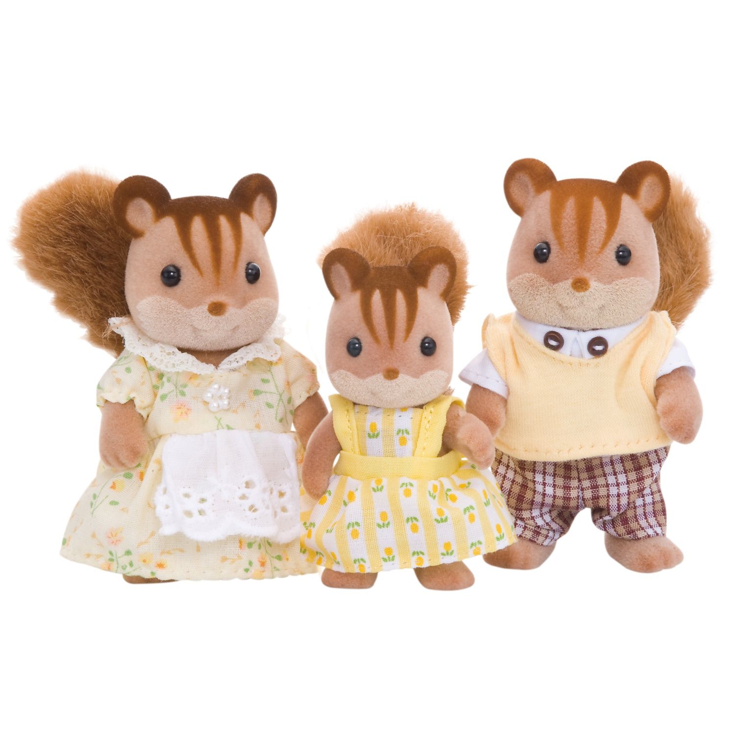 Gia Đình Sóc (3 Thành Viên) - Walnut Squirrel Family (3 members)