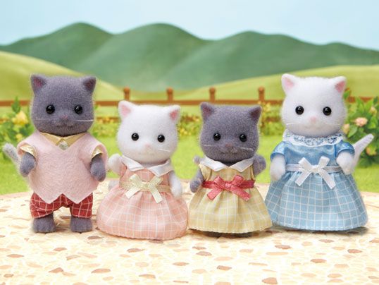 Gia đình Mèo Ba Tư - Persian Cat Family