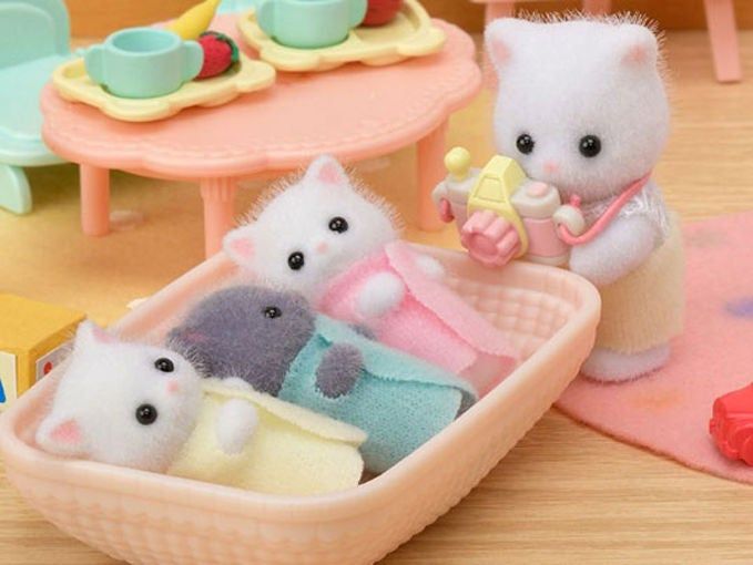 Bộ mèo Ba tư sinh ba - Persian Cat Triplets