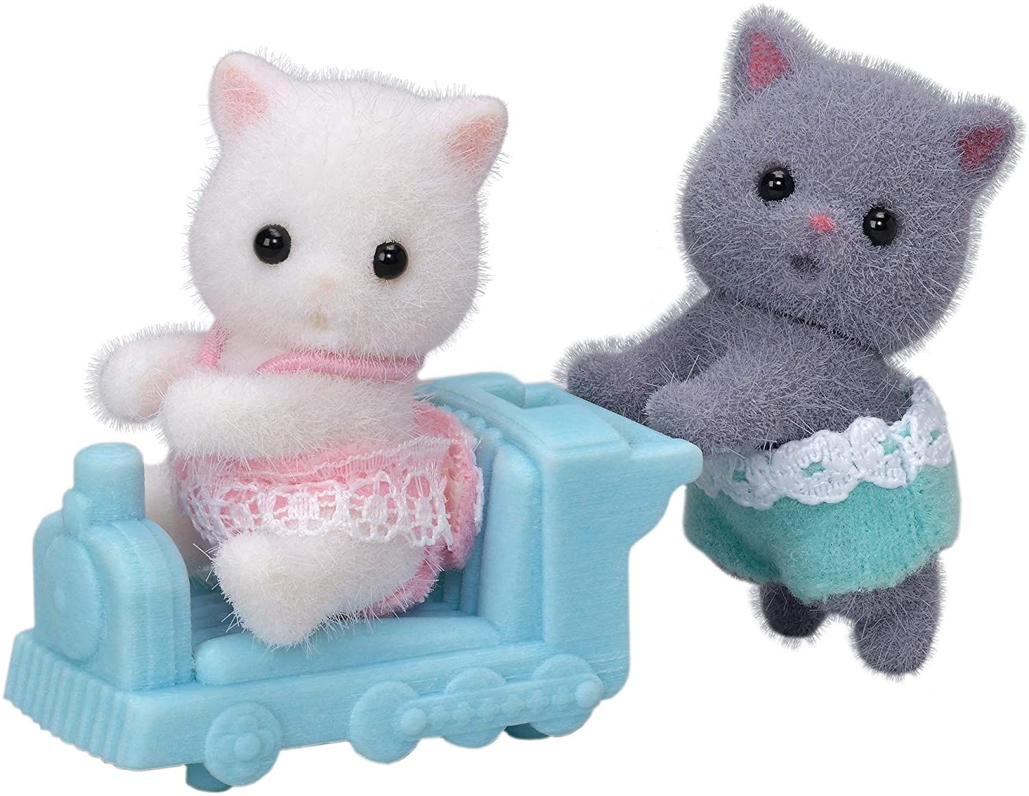 Mèo Ba Tư sinh đôi - Persian Cat Twins