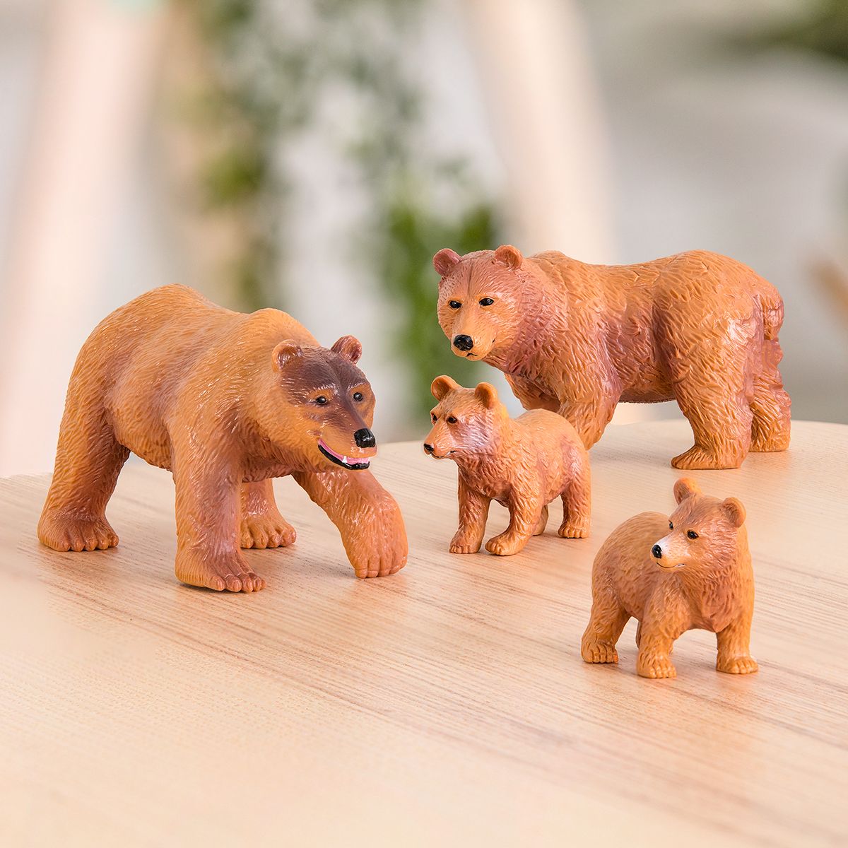 Gia đình Gấu nâu Terra