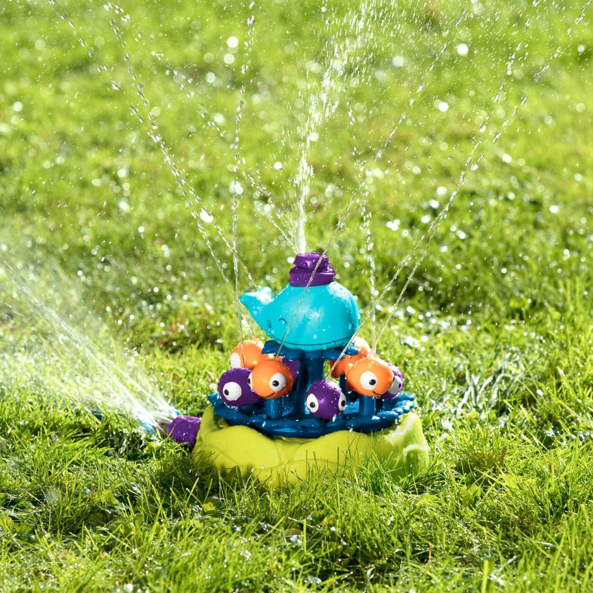 Cá voi tưới nước B.toys