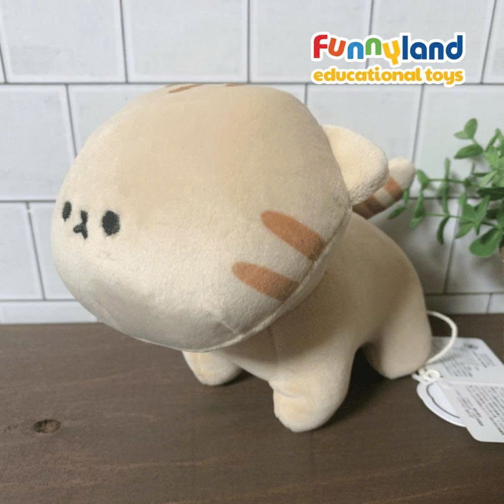 Gấu bông Nhật Bản Mofmo Friends - Chú Mèo American Short Hair