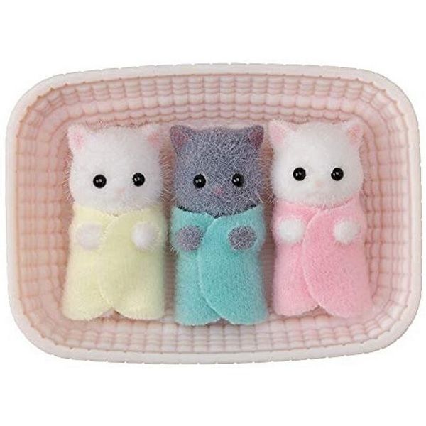 Bộ mèo Ba tư sinh ba - Persian Cat Triplets