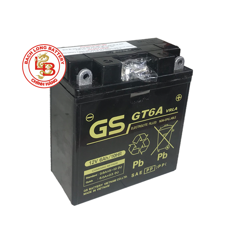  Ắc Quy GS GT6A (12V-6AH) 