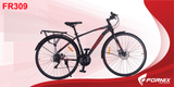  Xe đạp đua Fornix FR309 