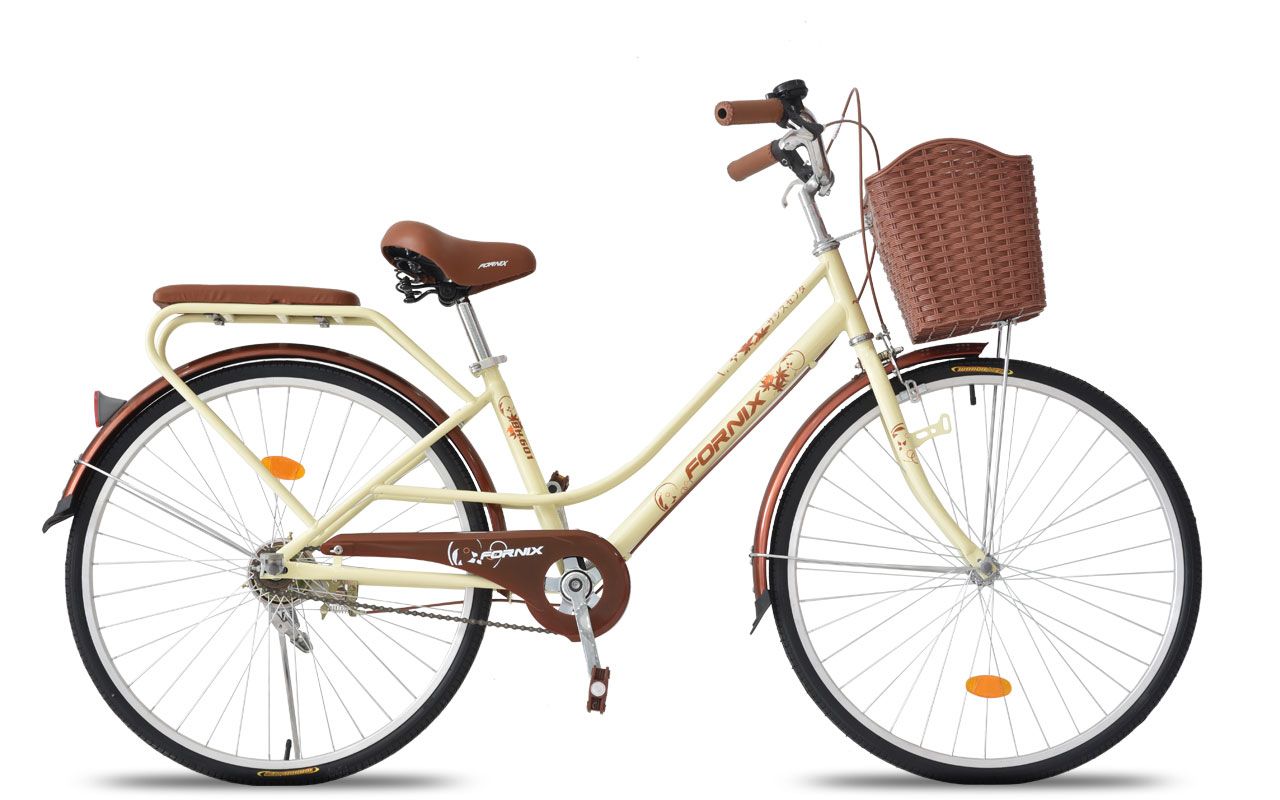 XE ĐẠP HỌC SINH FORNIX BH601