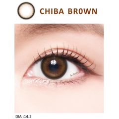 Kính áp tròng dùng 1 ngày màu CHIBA BROWN