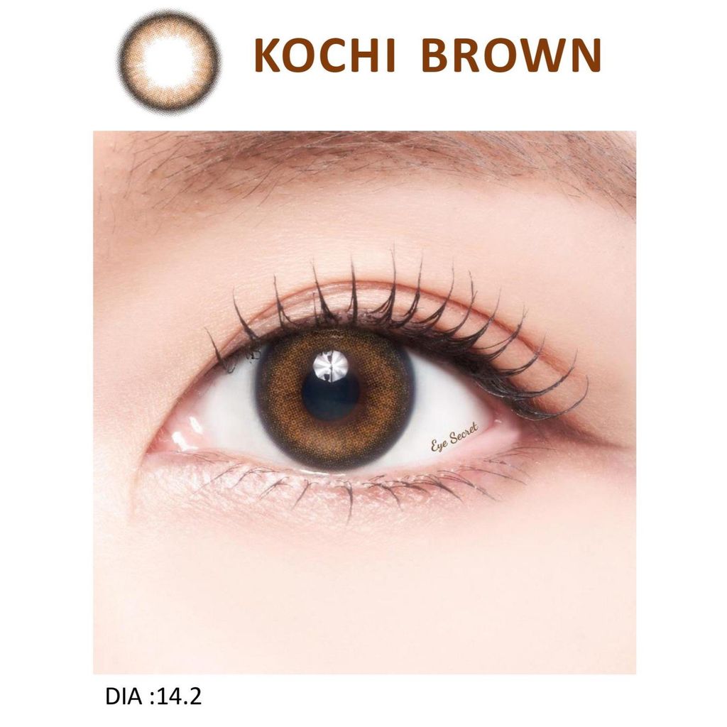 Kính áp tròng dùng 1 ngày màu KOCHI BROWN