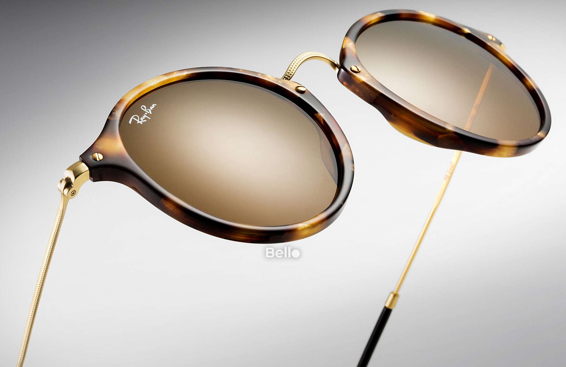 Ray-Ban Round Fleck RB2447 1160