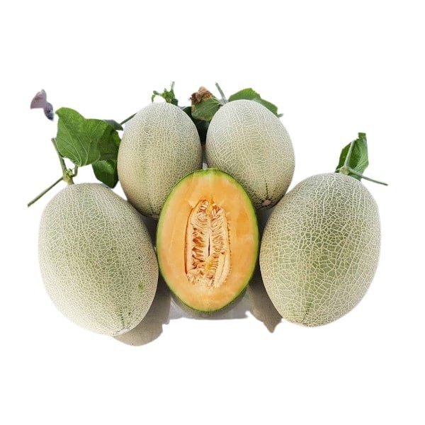 Dưa Lưới Sweetgold Ruột Cam Trái 1.5-1.7kg