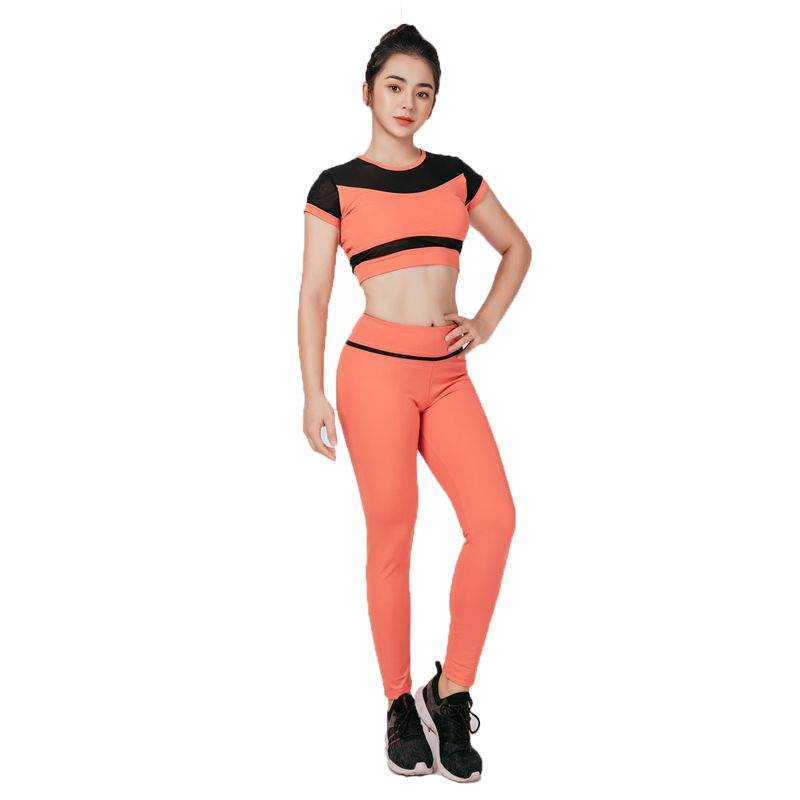 Quần Tập Hương Điệp 240
