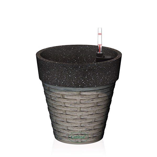 Chậu Cát Đan Tròn 18.5x18.5x18.5cm (Catleza) - Giao Ngẫu Nhiên