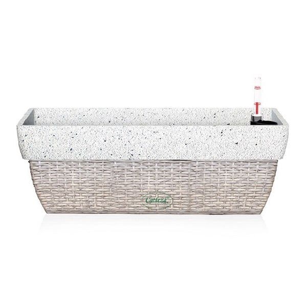 Chậu Cát Đan Chữ Nhật 58x25x21cm (Catleza) - Giao Ngẫu Nhiên