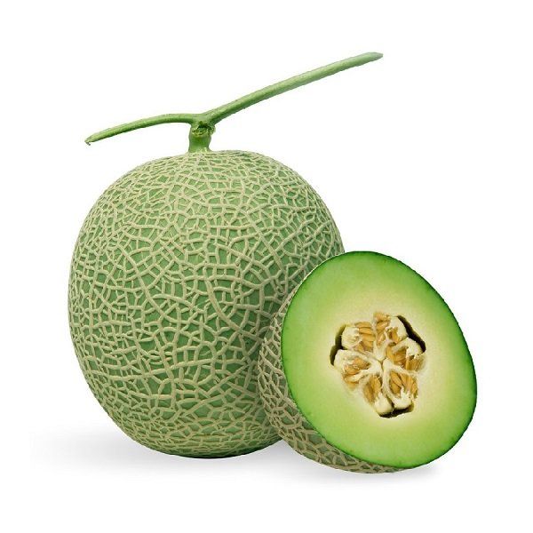 Dưa Lưới Ichiba Giống Nhật Ruột Xanh Trái 1.5kg Up
