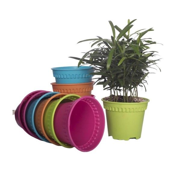 Lô 5 Chậu Tròn YTT Baba BI-5RD-120