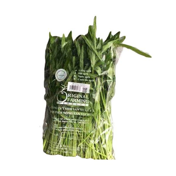 Rau Muống Vietgap OFP 500g