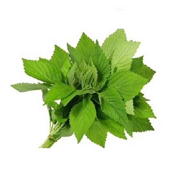 Kinh Giới 50g
