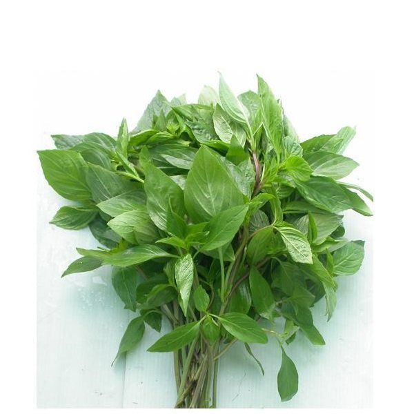 Húng Quế 50g
