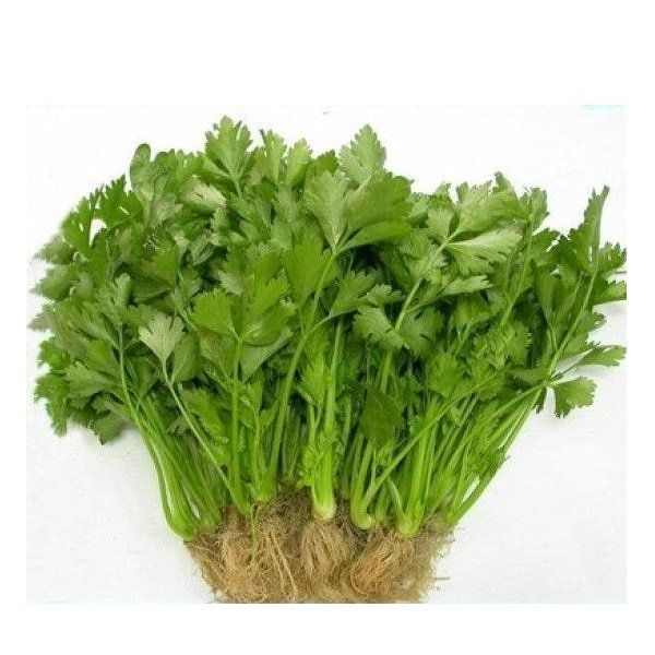 Cần Tây 100g