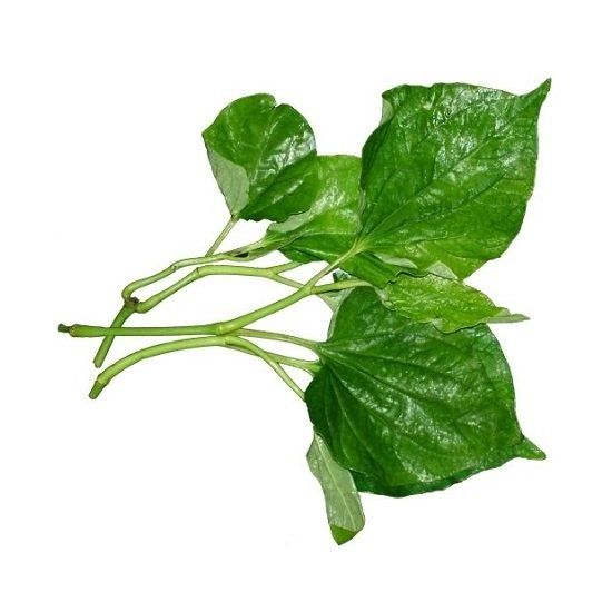 Lá Lốt 50g