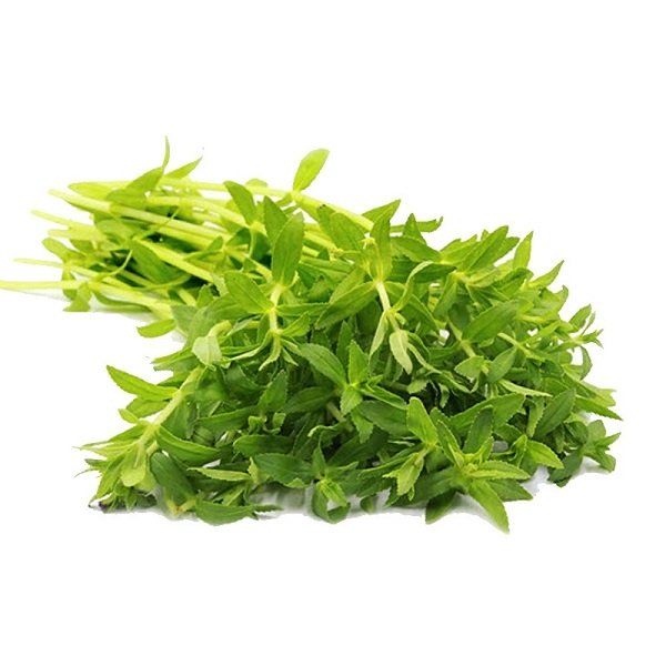 Rau Ngổ 50g