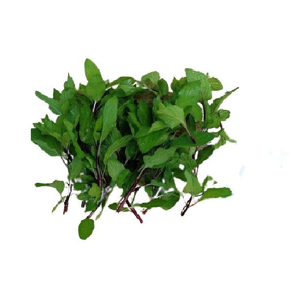 Húng Láng 50g