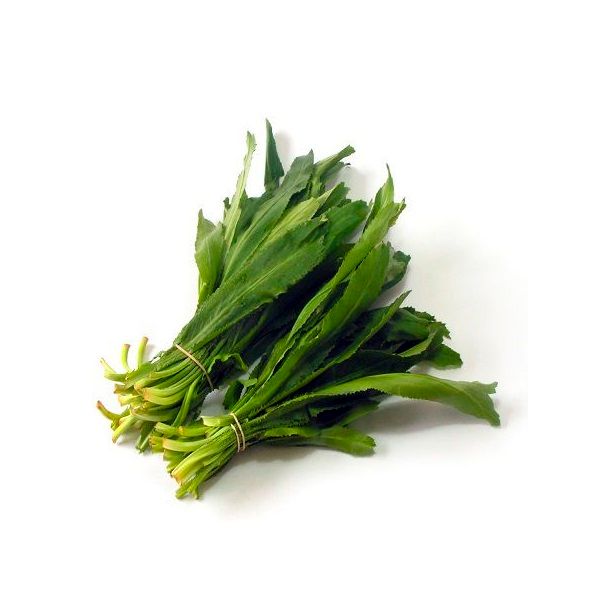 Mùi Tàu Organic 100g
