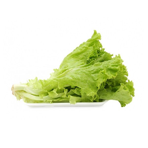Xà Lách Organic 300g