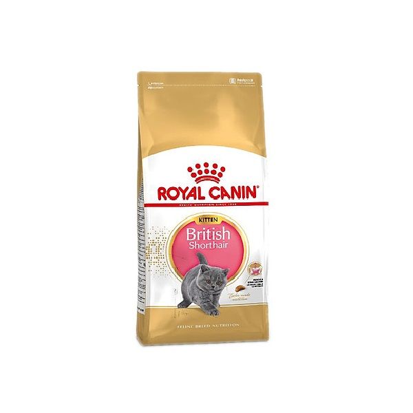 Thức Ăn Mèo British Shorthair Kitten Royal Canin RC251960 400g