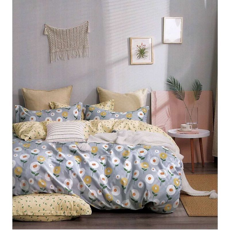 Chăn Đông Chần Liền - Ashita MC 180*220cm