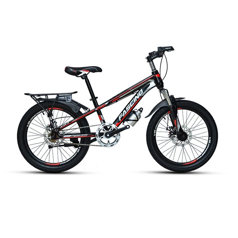 Xe Đạp Trẻ Em Fascino FS-01 20