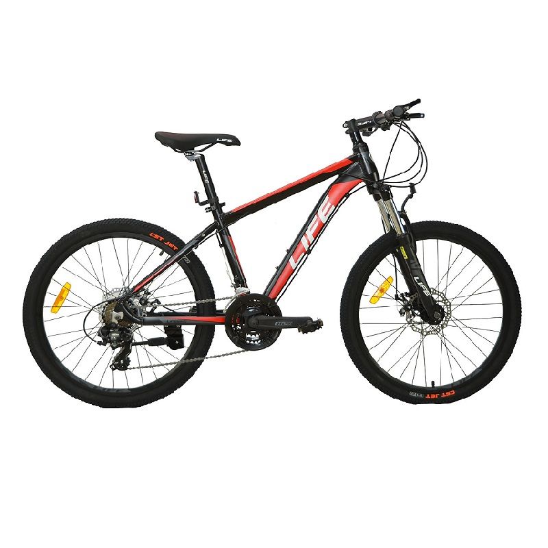 Xe Đạp Địa Hình 24