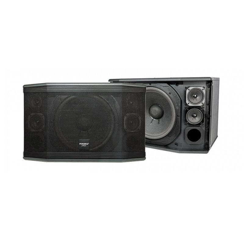 Loa Paramax-Pro Pro-C10