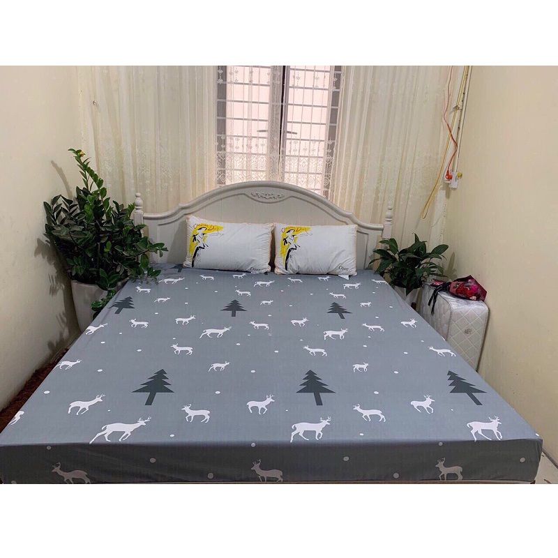 Ga Chống Thấm 160x200cm (Giao Màu Ngẫu Nhiên)