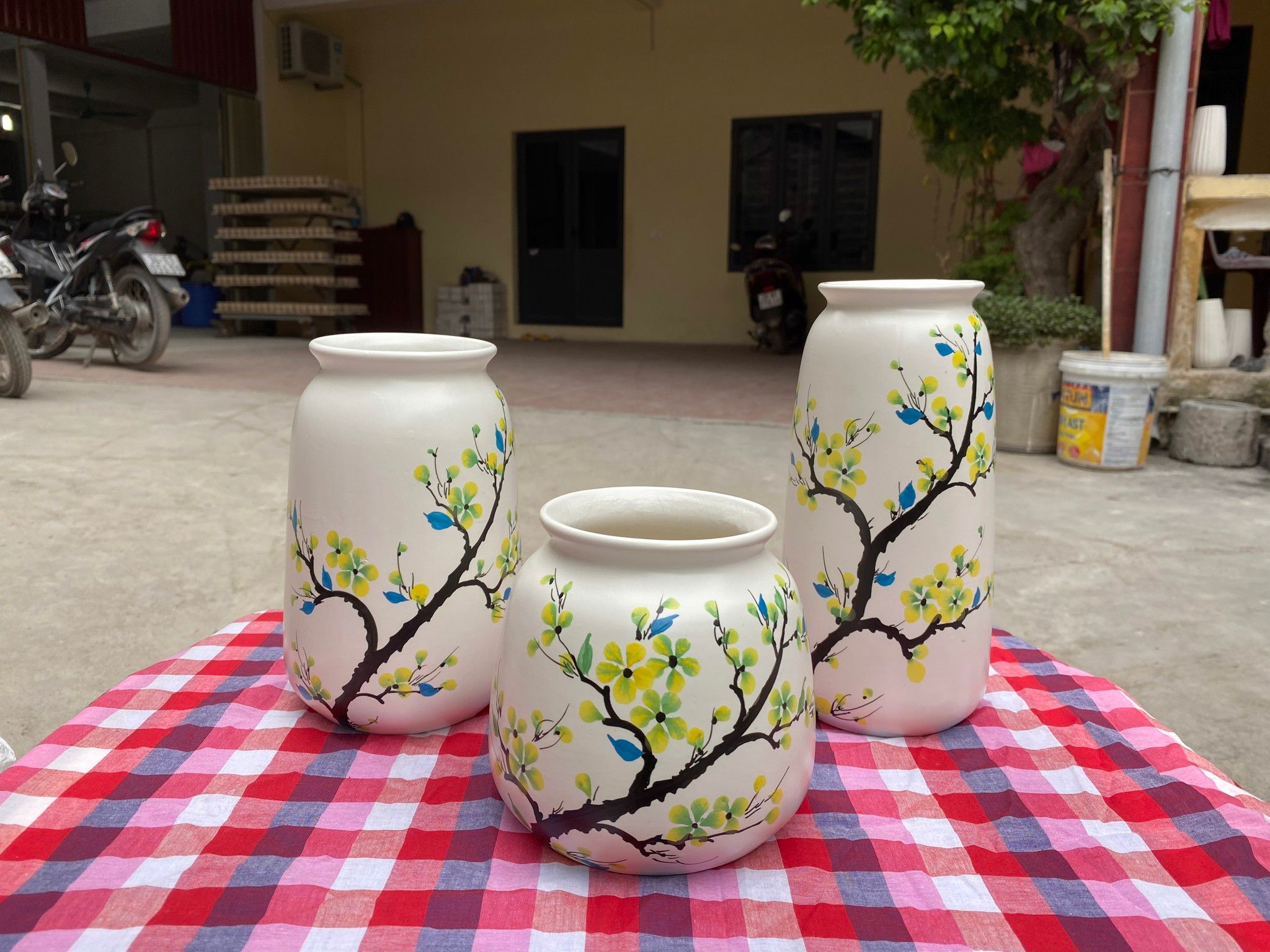 Vò Lùn Số 1