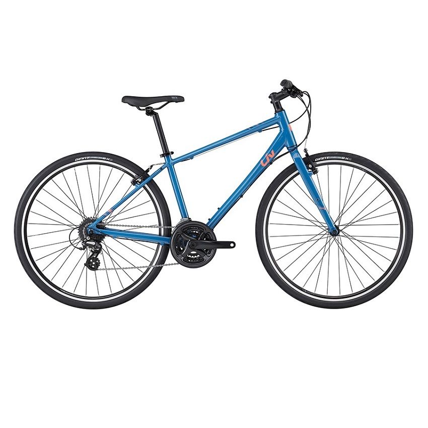 Xe Đạp Đường Phố Touring Liv Alight 2 DD 700C Grayish Blue (2021)