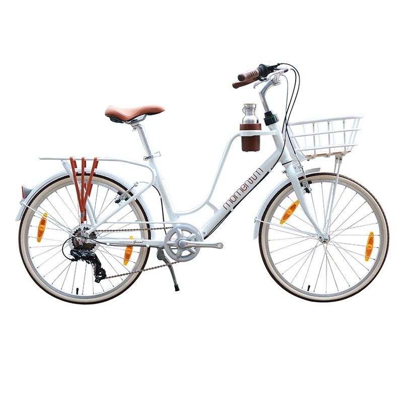 Xe Đạp Đường Phố Touring Momentum Ineed Latte 24” 2021
