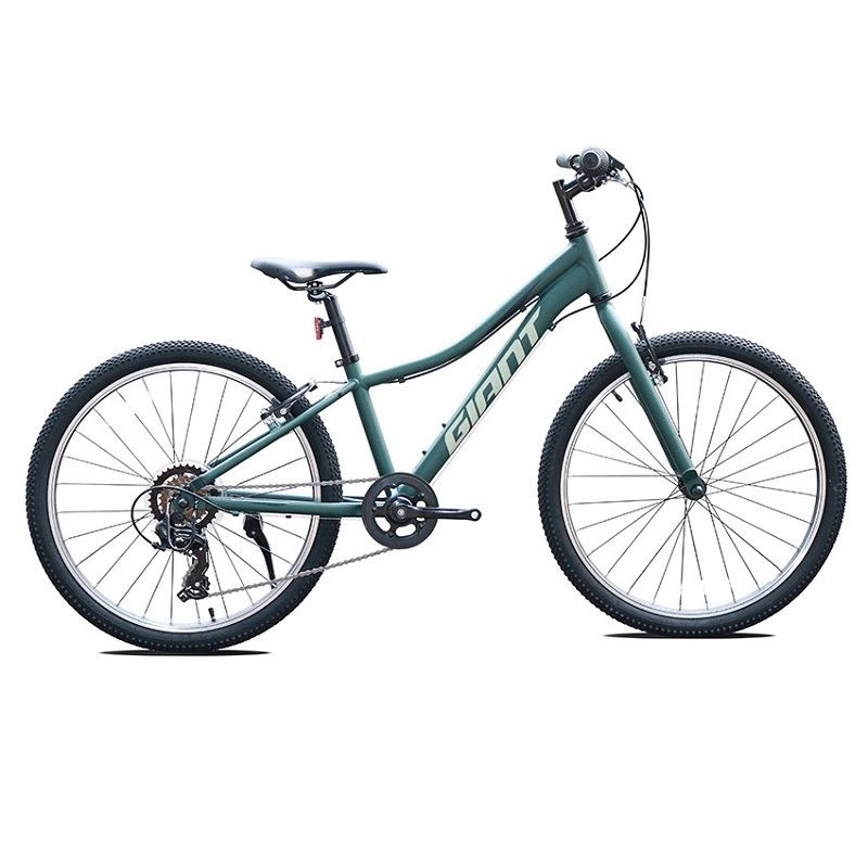 Xe Đạp Trẻ Em Youth Giant XTC JR 24