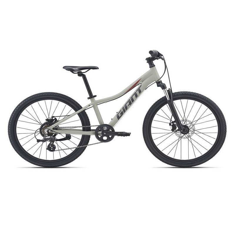 Xe Đạp Trẻ Em Youth Giant XTC JR 24
