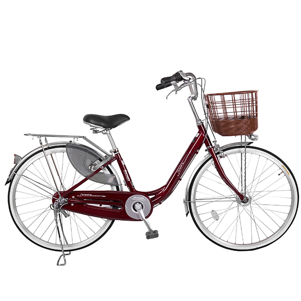 Xe Đạp Thời Trang 26