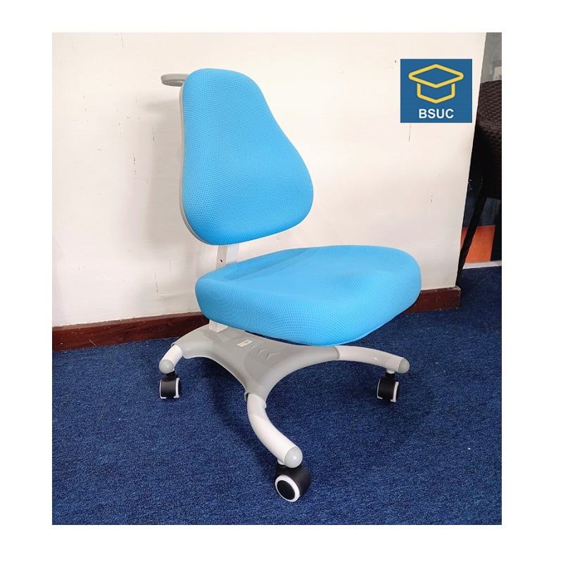 Ghế Chống Gù Cao Cấp DRY-807 Tặng 01 Bộ Lót Bọc Ghế Trị Giá 400,000 Đồng