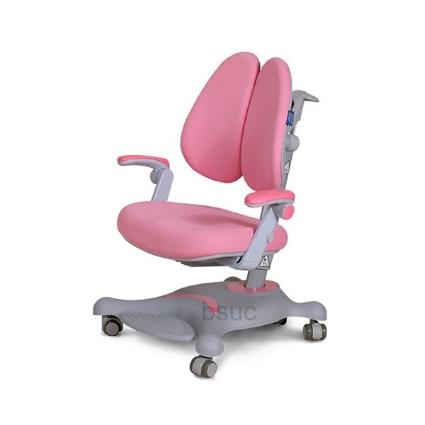 Ghế Chống Gù Cao Cấp DRY-806 Tặng 01 Bộ Lót Bọc Ghế Trị Giá 400,000 Đồng