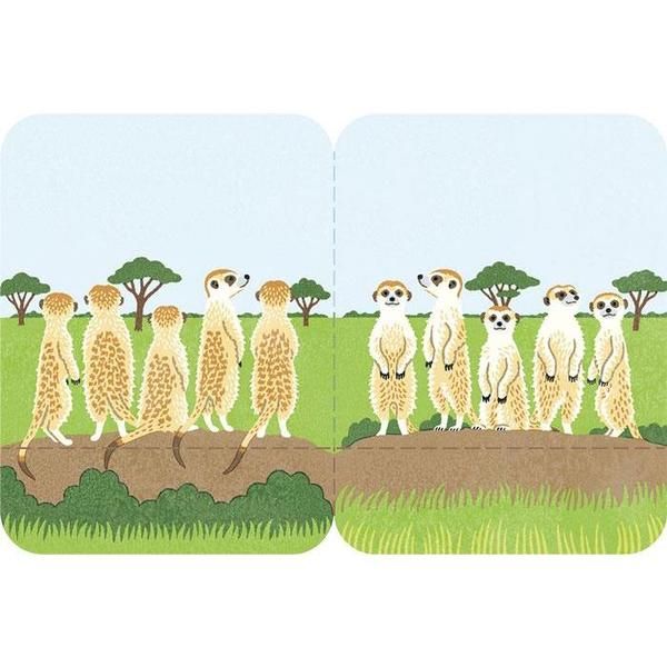 Giấy Ghi Chú - 3580-006 - Cầy Meerkat
