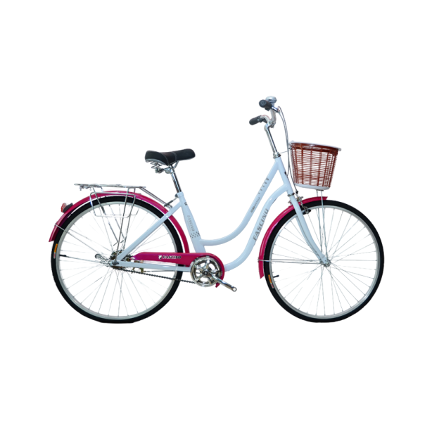 Xe Đạp Trẻ Em 24