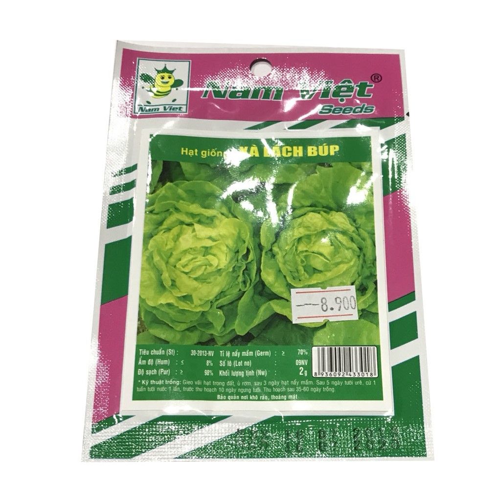 Hạt Giống Xà Lách Búp