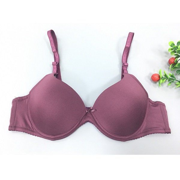 Áo Ngực Nữ Speranza Màu Tím SPA137