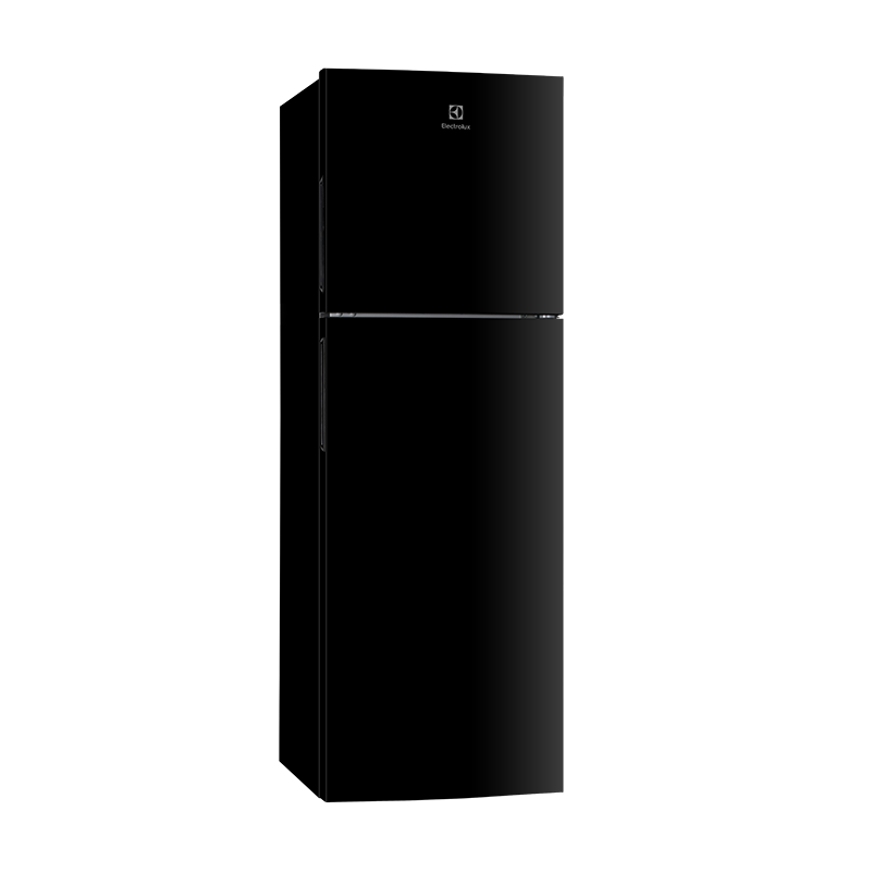 Tủ Lạnh Inverter Electrolux ETB2802H-H