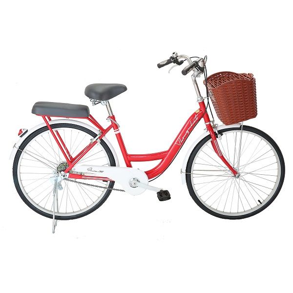 Xe Đạp Thống Nhất 24