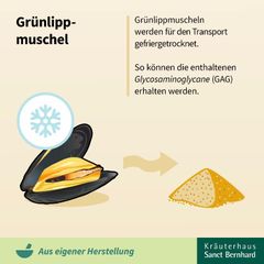 GRUNLIPP MUSCHEL - VIÊN UỐNG ĐIỀU TRỊ KHÔ KHỚP CHIẾT XUẤT TỪ VẸM XANH BIỂN, lọ 150 viên